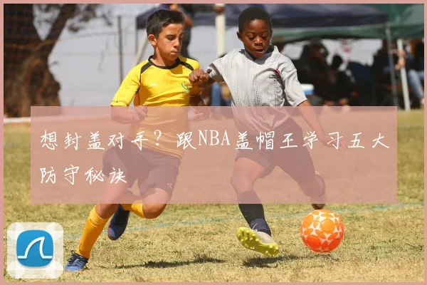 想封盖对手？跟NBA盖帽王学习五大防守秘诀