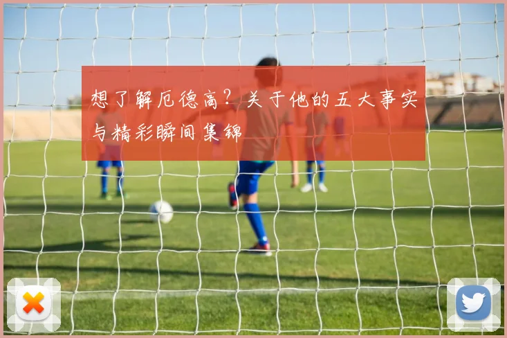 想了解厄德高？关于他的五大事实与精彩瞬间集锦