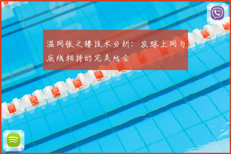 温网张之臻技术分析:发球上网与底线相持的完美结合