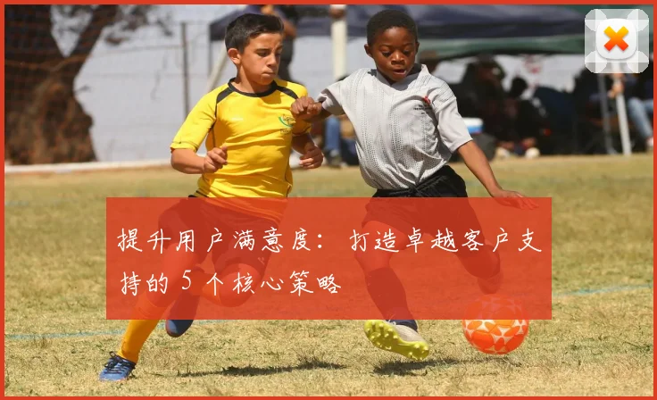 提升用户满意度：打造卓越客户支持的 5 个核心策略